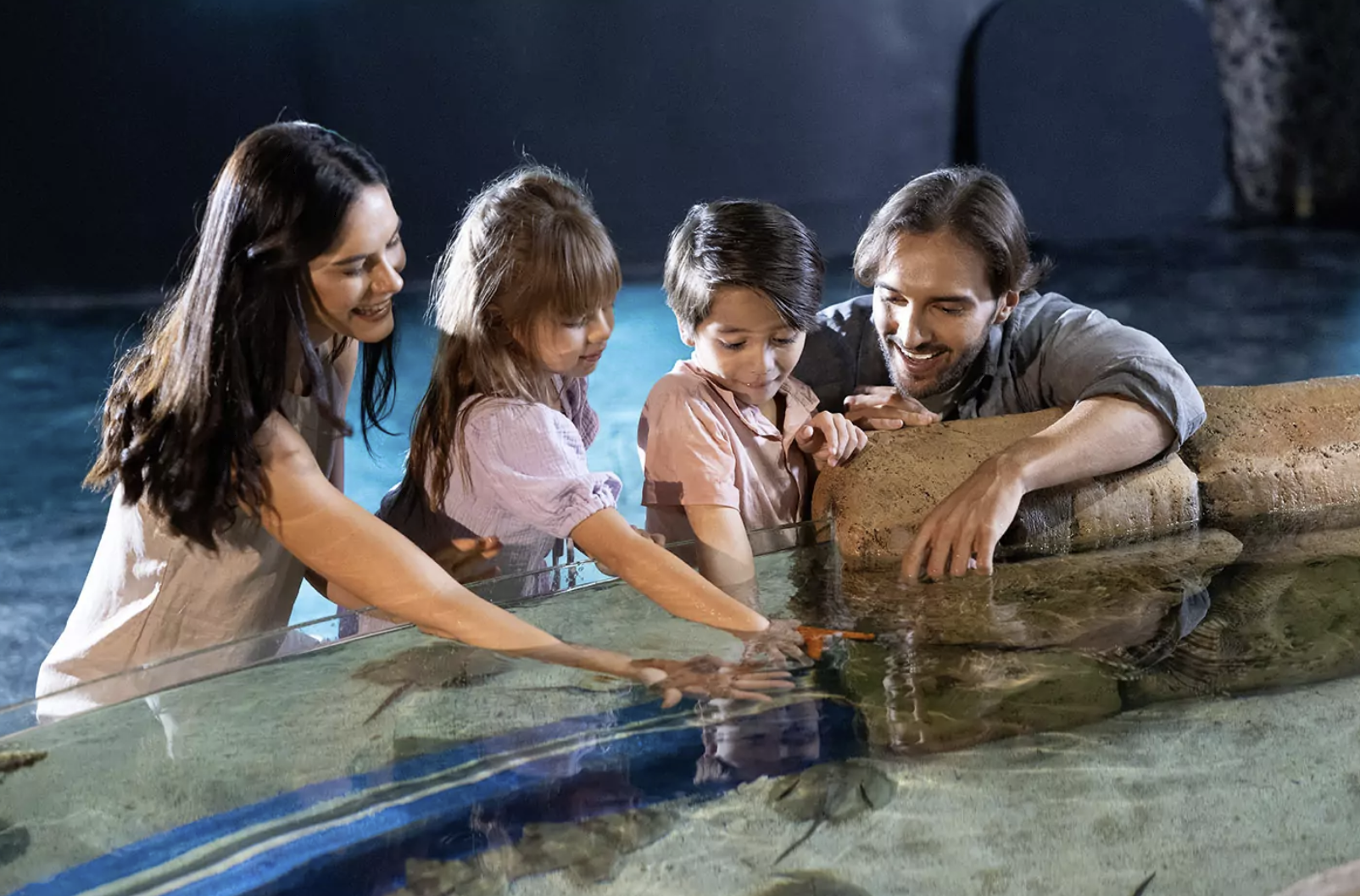 A family lean over a shallow touch pool at Marine Safari Bali, two parents and two children reaching into the water together in low blue light.